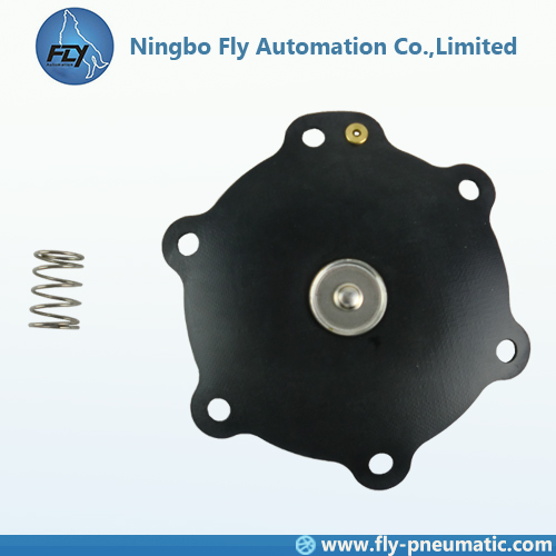 C113825 Diaphragm repair kits for ASCO 1.5" Pulse valve G353A045