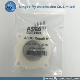 C113443 ASCO NUMATICS 3/4" Pulse valve SCG353A043 G353A041 Diaphragm Repair Kit